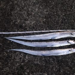 まさかの?!5種目