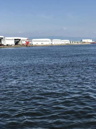 猛暑の中でもタコ