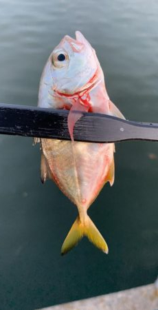 まさかのメッキ