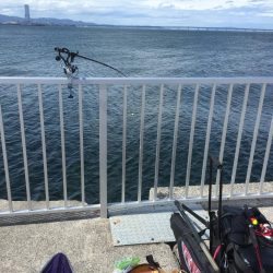 メジロ、ブリをメインで狙い、大きなシーバスとかヒラメとかをサブで狙いました。