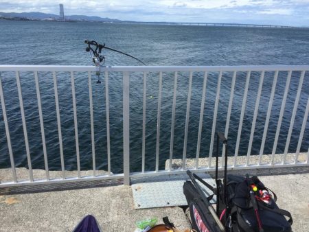 メジロ、ブリをメインで狙い、大きなシーバスとかヒラメとかをサブで狙いました。