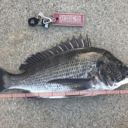 お盆休み最終日