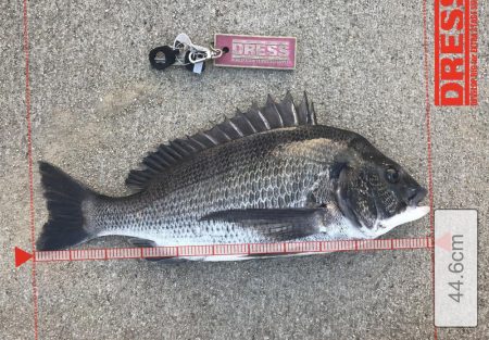 お盆休み最終日