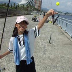 南芦屋浜 孫娘のサヨリデビュー