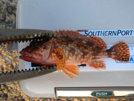 おじさんの夏休み