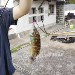 沼島でライトゲーム2