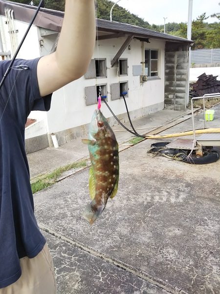 沼島でライトゲーム2