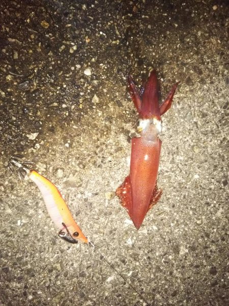 ちっちゃく開幕