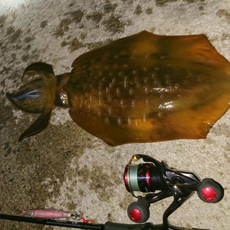 潮が動きだしたその時！