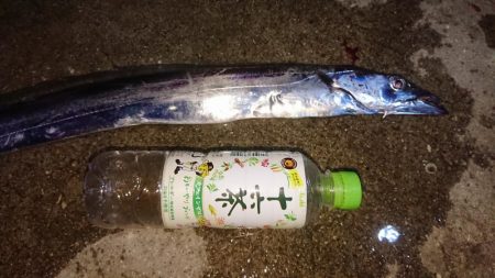 タチウオしぶい