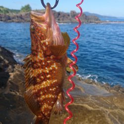 熱中症に気をつけよう