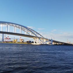 初めてのジグサビキ