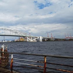 台風前は釣れるかな？