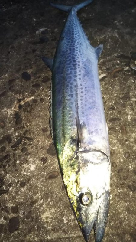 寝坊のち・・・。