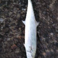 寝坊のち・・・。②