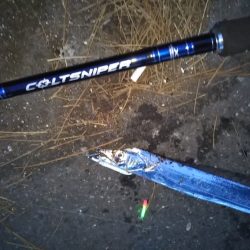 夕マヅメ陸っぱりジギング