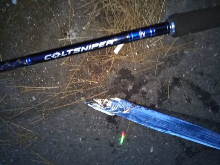 夕マヅメ陸っぱりジギング