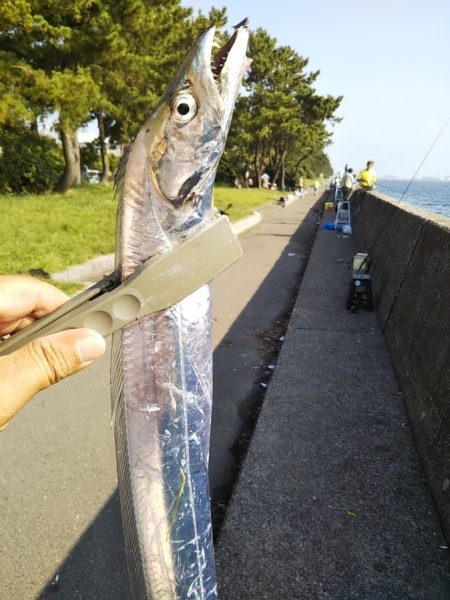 年に何度もないボイル！！―朝マヅメより～