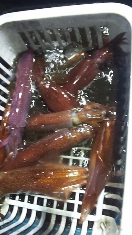 今季初100杯オーバー