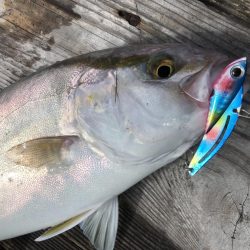 久家さんのイカダでLSJ