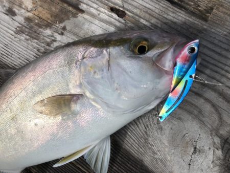 久家さんのイカダでLSJ