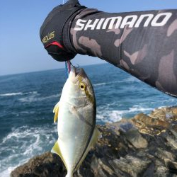 小っさいけど青物‼︎