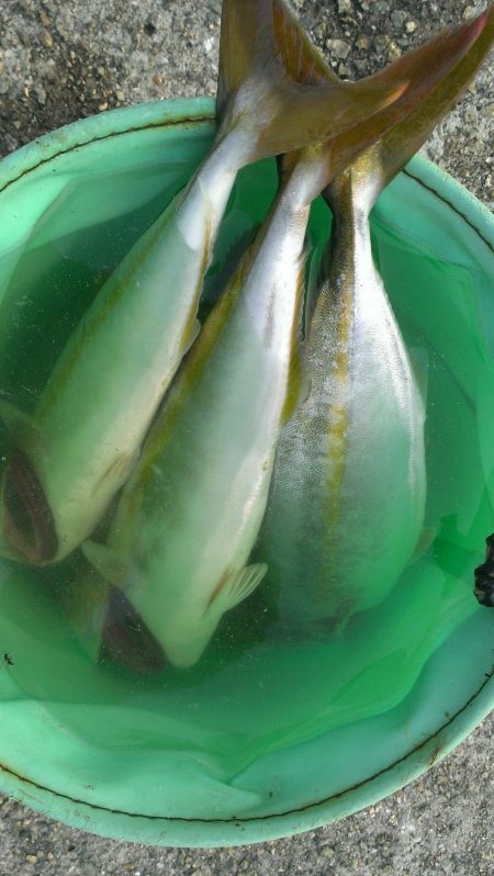 型も数も伸びず