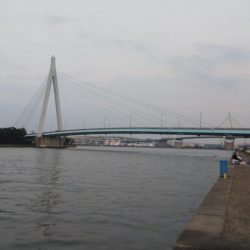 連休最終日はどうかな？