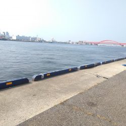 ちょっと大きくなったかな、、