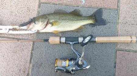 ジグスピナー２投目でヒット！