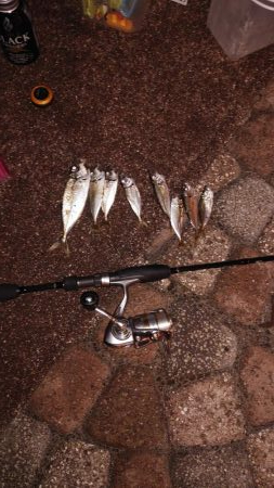 ナイトアジング