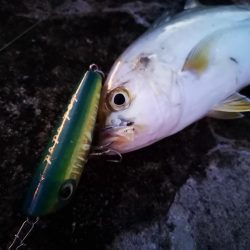 ポッパーは楽しい