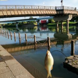 たびたび夕涼み