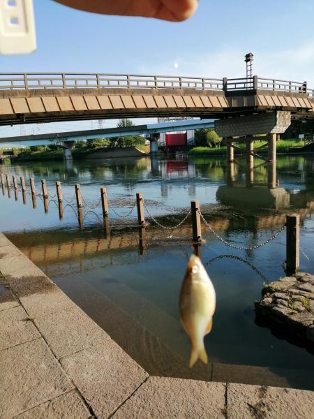 たびたび夕涼み