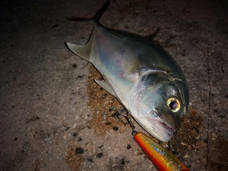 台風明けやっと釣れました