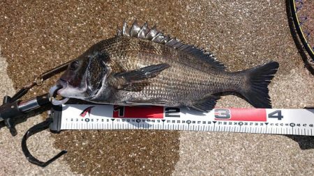 台風の来る前に