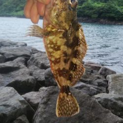 台風前に穴釣り