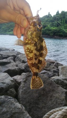 台風前に穴釣り