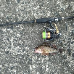 オンスタックルさんのイベントに参加