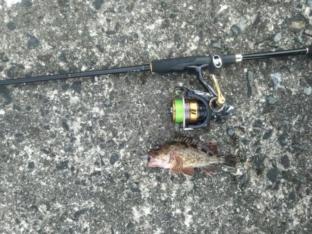 オンスタックルさんのイベントに参加