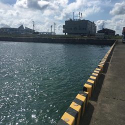 ツバス、メッキのみ