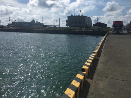 ツバス、メッキのみ