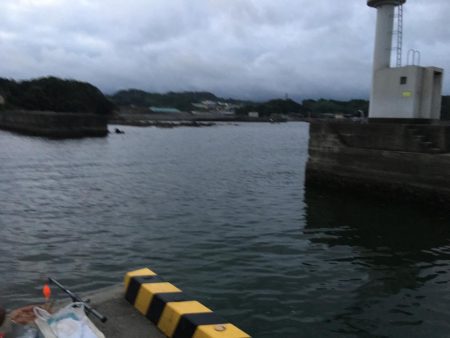 メッキ21匹ほか