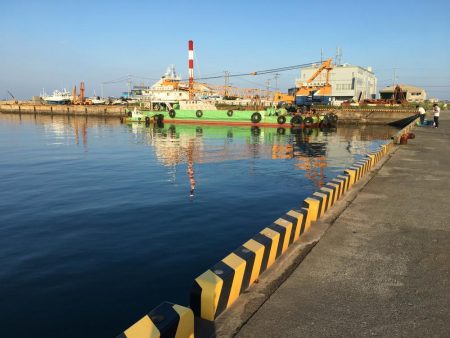 アイゴ、ボラ、メバルほか