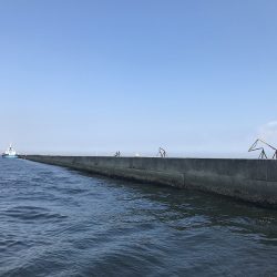 良型連発♪ 時には1キャスト1ヒット!