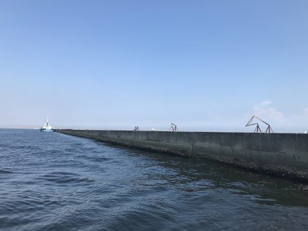 良型連発♪ 時には1キャスト1ヒット!