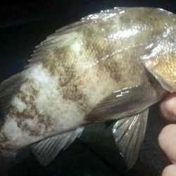 何となく淡路島へ