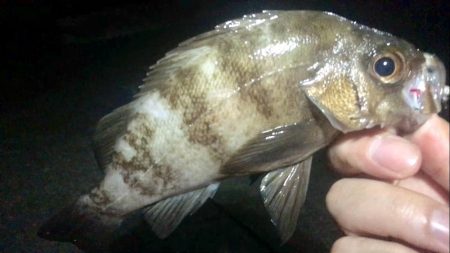 何となく淡路島へ