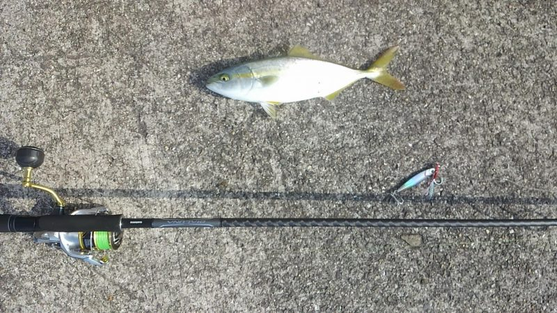 潮が少し動き出したタイミングで