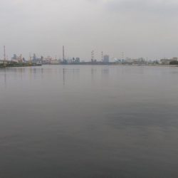 いただきました。